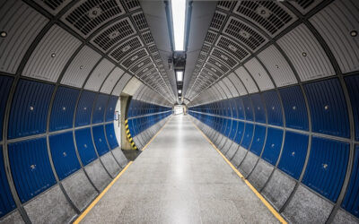 Everything You’ve Ever Wanted to Know About Construction